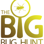 BBH_Logo