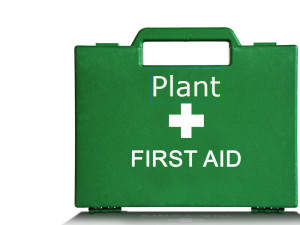 Plant First Aid box