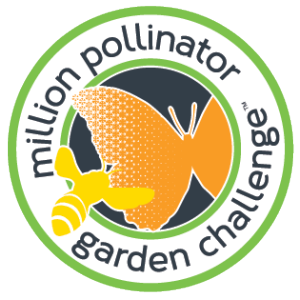 Pollinator garden challenge